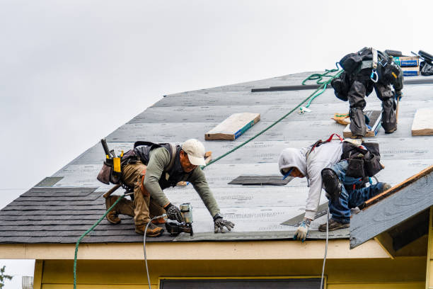Professional Emergency Roof Repair technician working in Angola, IN